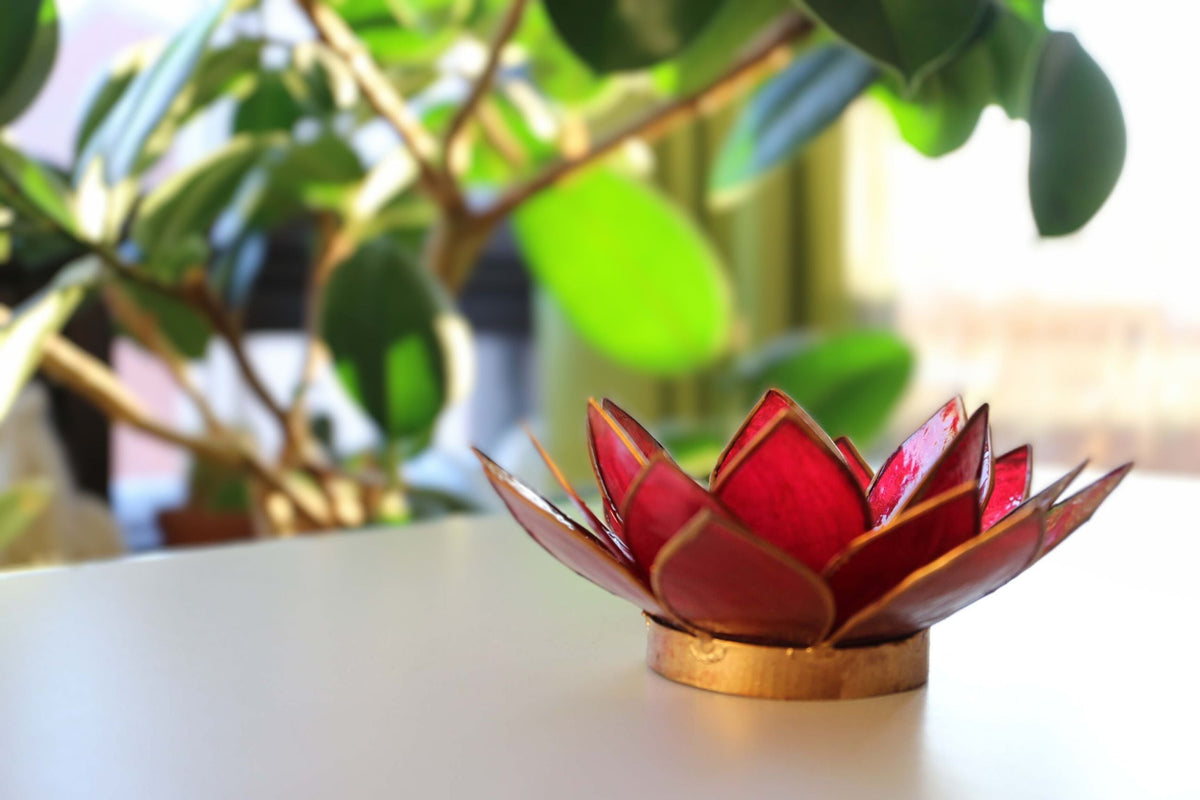 Capiz-tuikkulyhty | Lotus - punainen-RAUHA Crafts-RAUHA Crafts