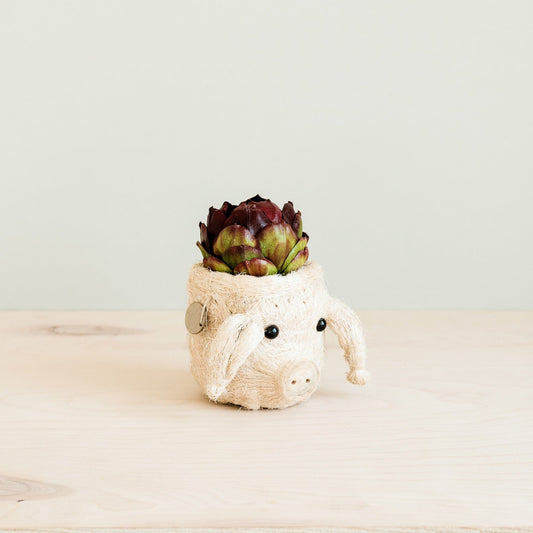 Kookoskuituinen eläinpääruukku | Pig-LIKHÂ-RAUHA Crafts
