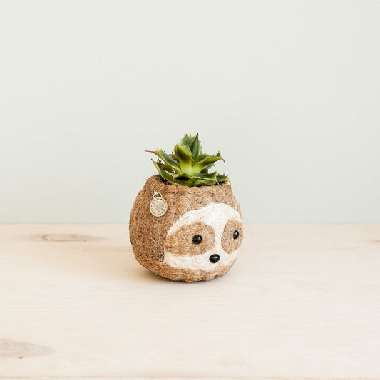 Kookoskuituinen eläimen pään ruukku | Kaksisävyinen laiskiainen-LIKHÂ-RAUHA Crafts