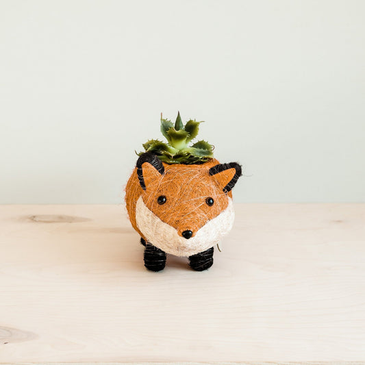 Kookoskuituinen eläinruukku | Vauvakettu-LIKHÂ-RAUHA Crafts