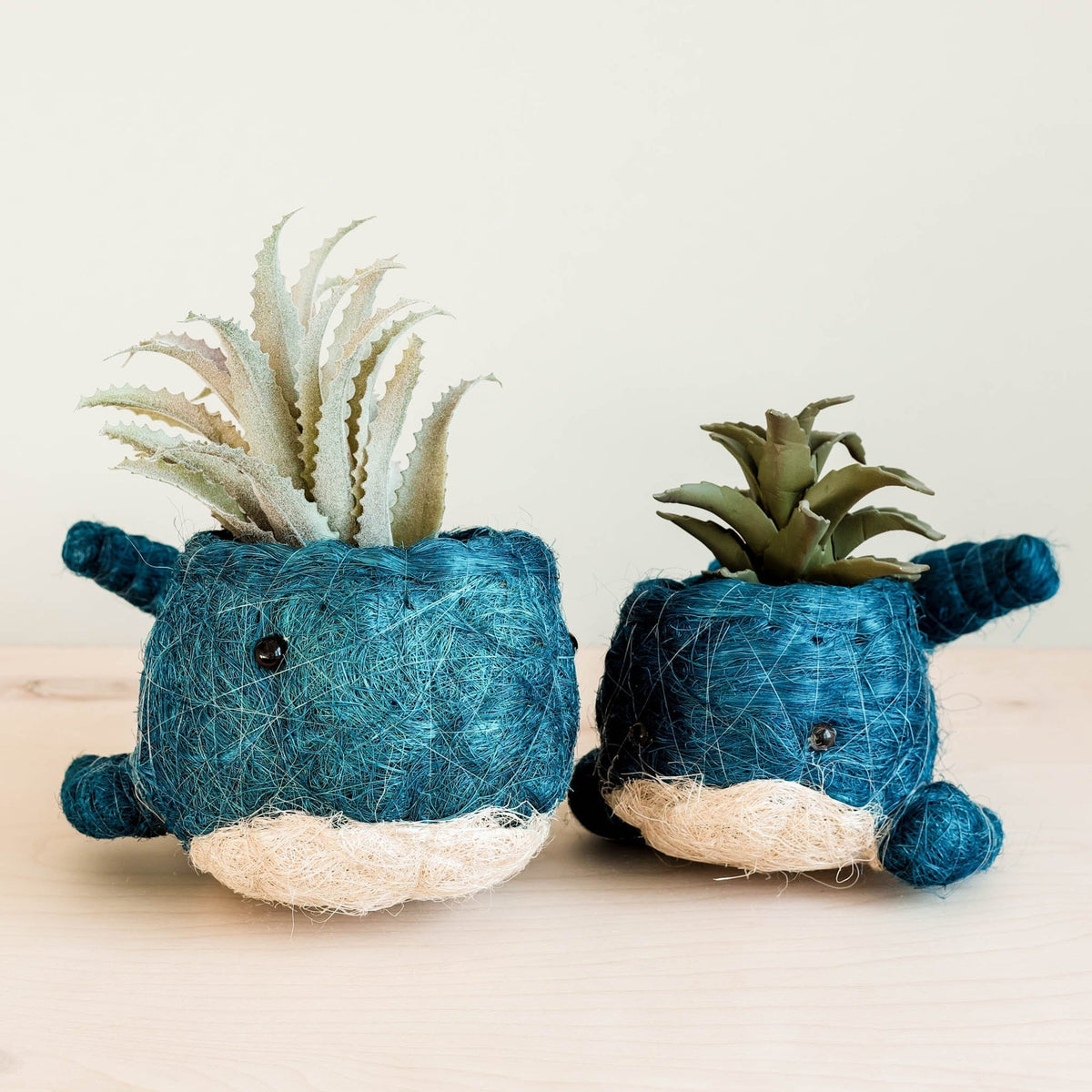 Kookoskuituinen eläinruukku | Pikkuvalas-LIKHÂ-RAUHA Crafts