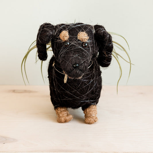 Kookoskuituinen eläinruukku | Mäyräkoira-LIKHÂ-RAUHA Crafts