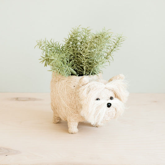 Kookoskuituinen eläinistutusruukku | Westie-LIKHÂ-RAUHA Crafts