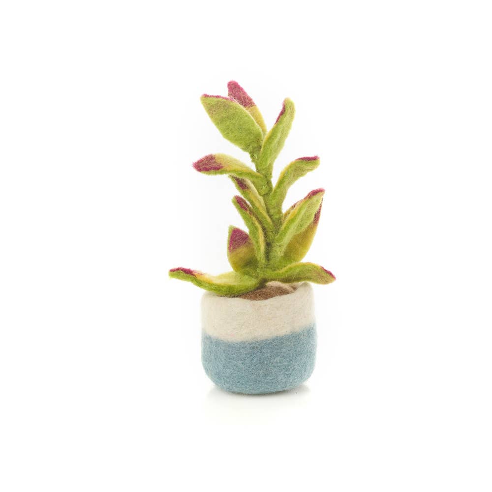 Felt Happy Houseplants Artificial Plant Cactus - handmade felt decoration - 100% wool by Felt So Good