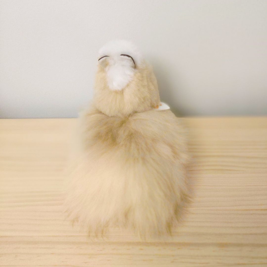 Fluffig sittande alpackagosedjur i naturfärg, framifrån