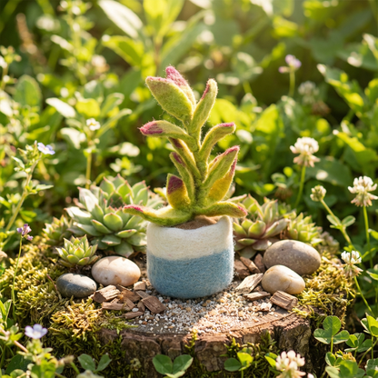 Felt Happy Houseplants Artificial Plant Cactus - handmade felt decoration - 100% wool by Felt So Good