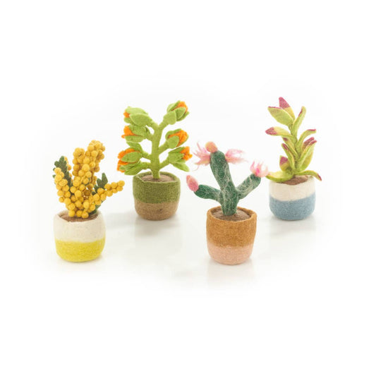 Felt Happy Houseplants Tekokasvi Kaktus - käsintehty huovutettu koriste - 100% villaa by Felt So Good
