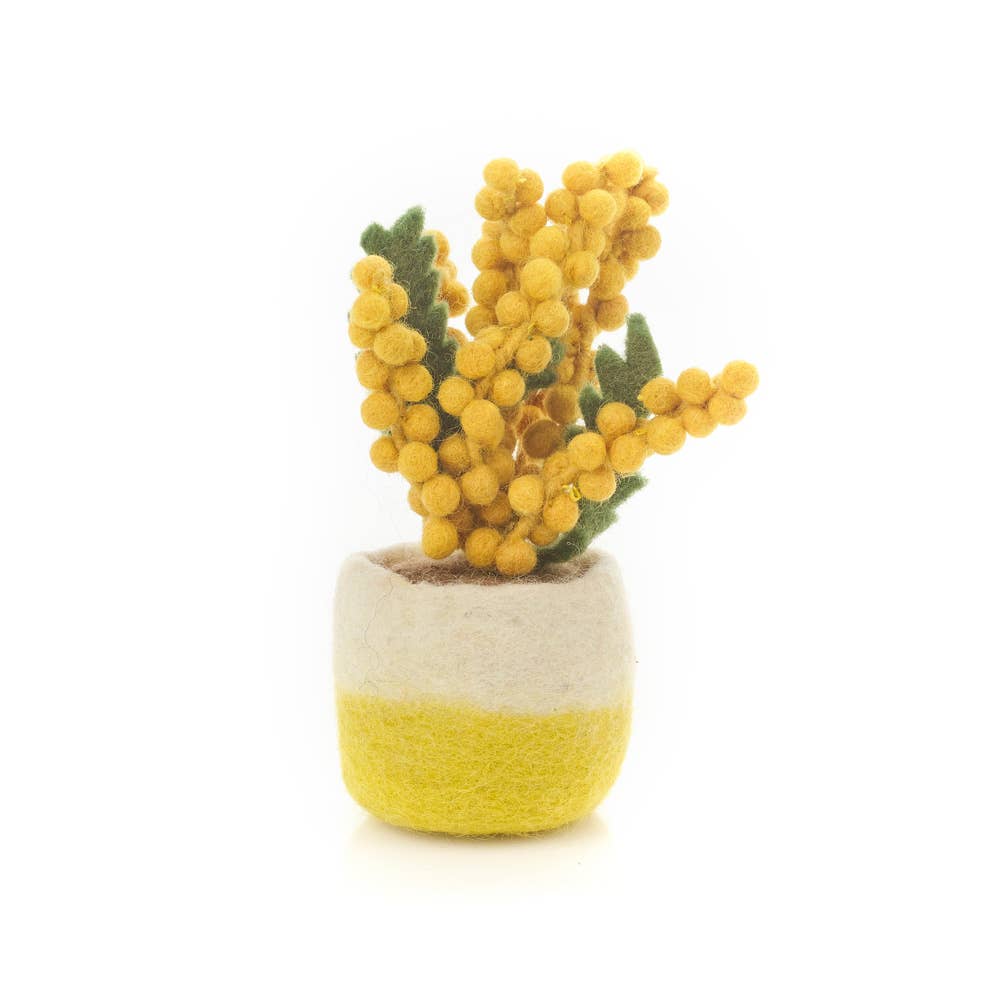 Felt Happy Houseplants Artificial Plant Cactus - handmade felt decoration - 100% wool by Felt So Good