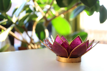 Capiz-tuikkulyhty | Lotus - Violetti-RAUHA Crafts-RAUHA Crafts
