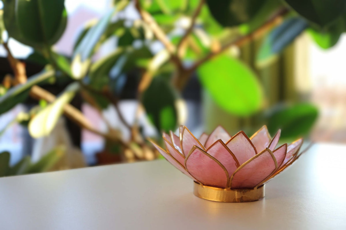 Capiz-tuikkukynttilän pidike | Louts - Pinkki-RAUHA Crafts-RAUHA Crafts