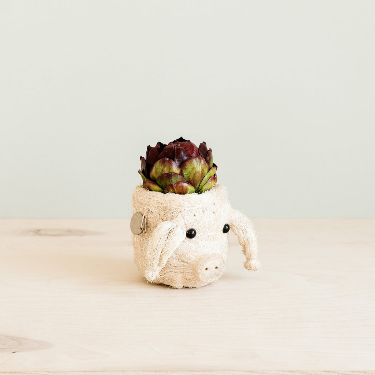 Kookoskuituinen eläinpääruukku | Pig-LIKHÂ-RAUHA Crafts