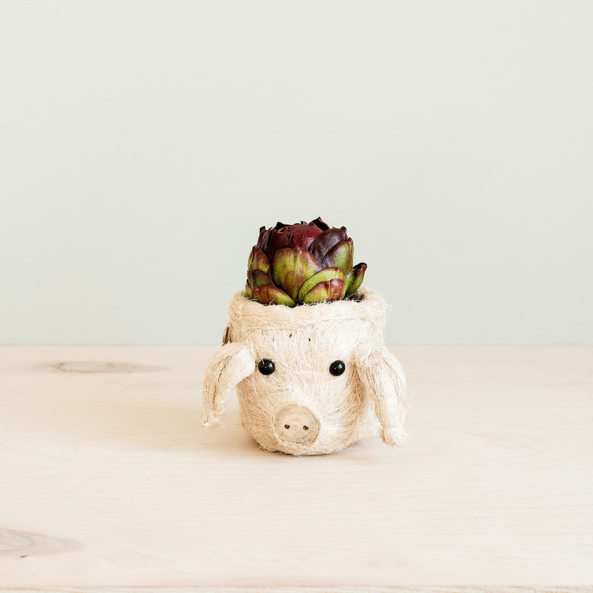 Kookoskuituinen eläinpääruukku | Pig-LIKHÂ-RAUHA Crafts