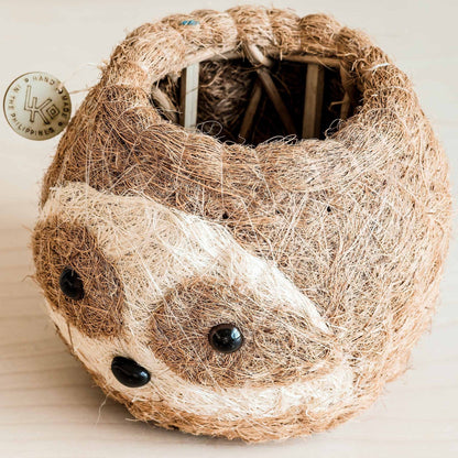 Närbild av ansiktet på tvåfärgad sengångare-krukan i kokosfiber