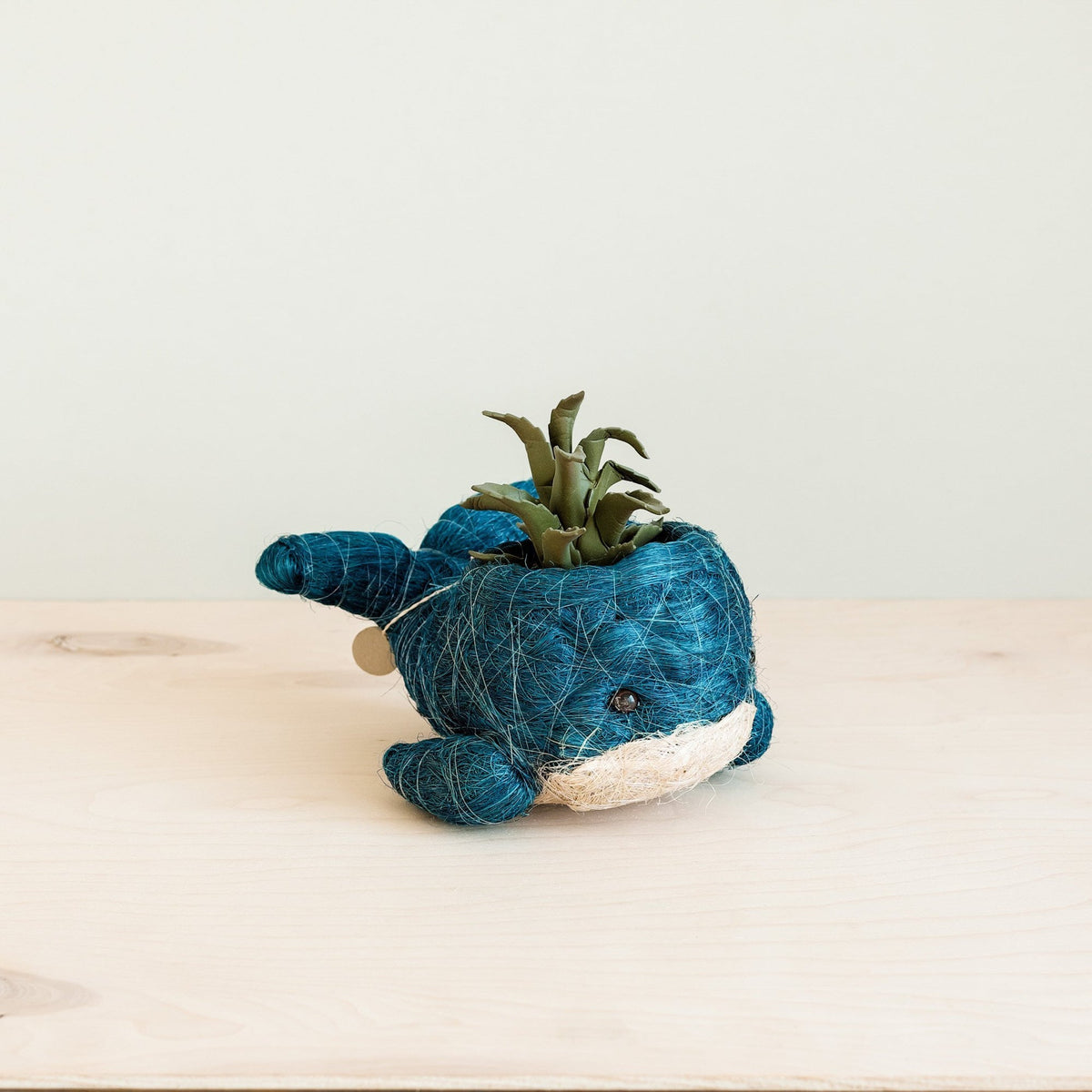 Kookoskuituinen eläinruukku | Pikkuvalas-LIKHÂ-RAUHA Crafts