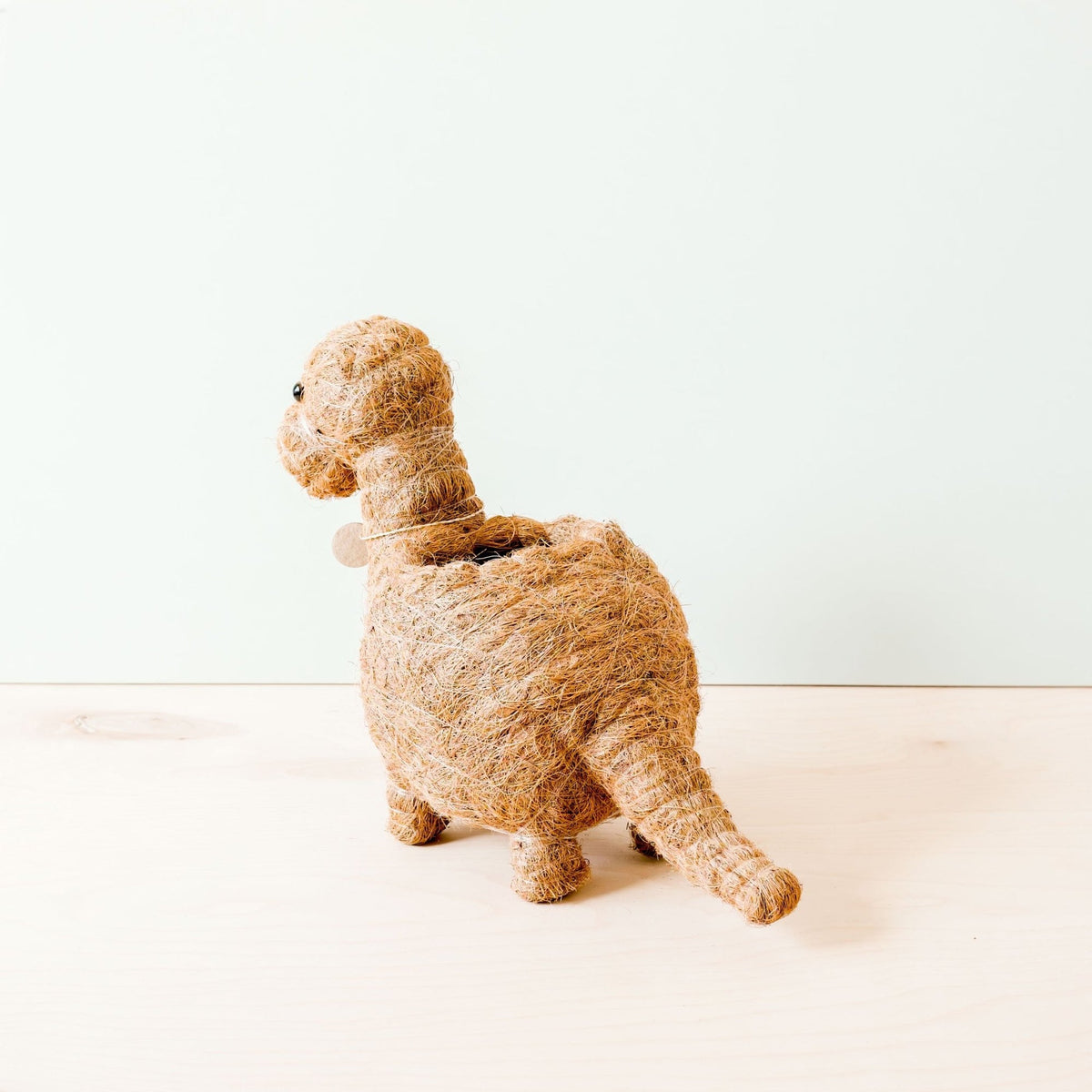 Brontosaurus-kruka i kokosfiber bakifrån