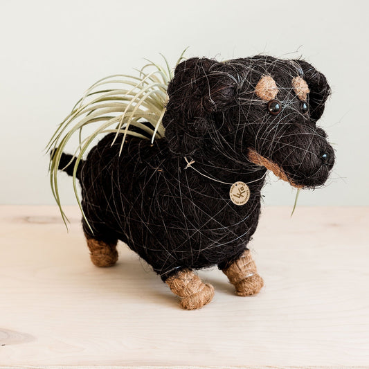 Kookoskuituinen eläinruukku | Mäyräkoira-LIKHÂ-RAUHA Crafts