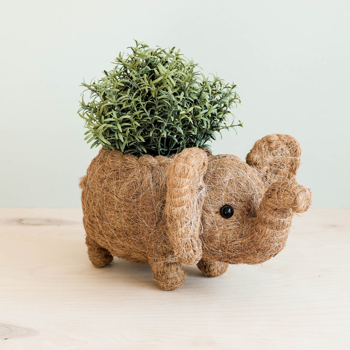 Elefant-djurkruka i kokosfiber med en liten växt