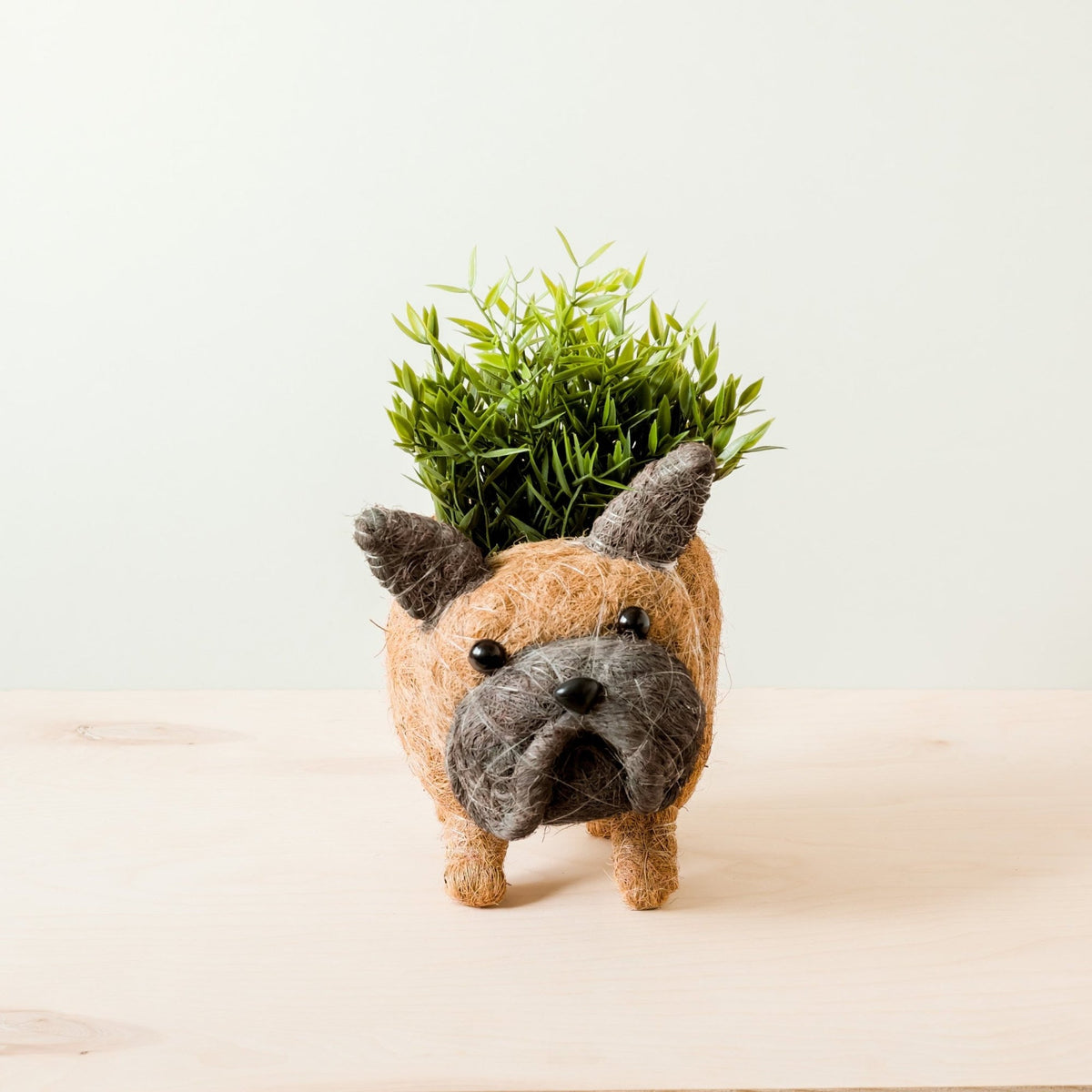 Planteringskruka i kokosfiber | Fransk bulldogg-LIKHÂ-RAUHA Crafts