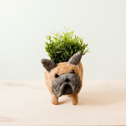 Planteringskruka i kokosfiber | Fransk bulldogg-LIKHÂ-RAUHA Crafts
