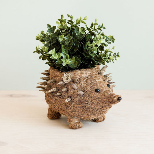 Kookoskuituinen eläinruukku | Siili-LIKHÂ-RAUHA Crafts
