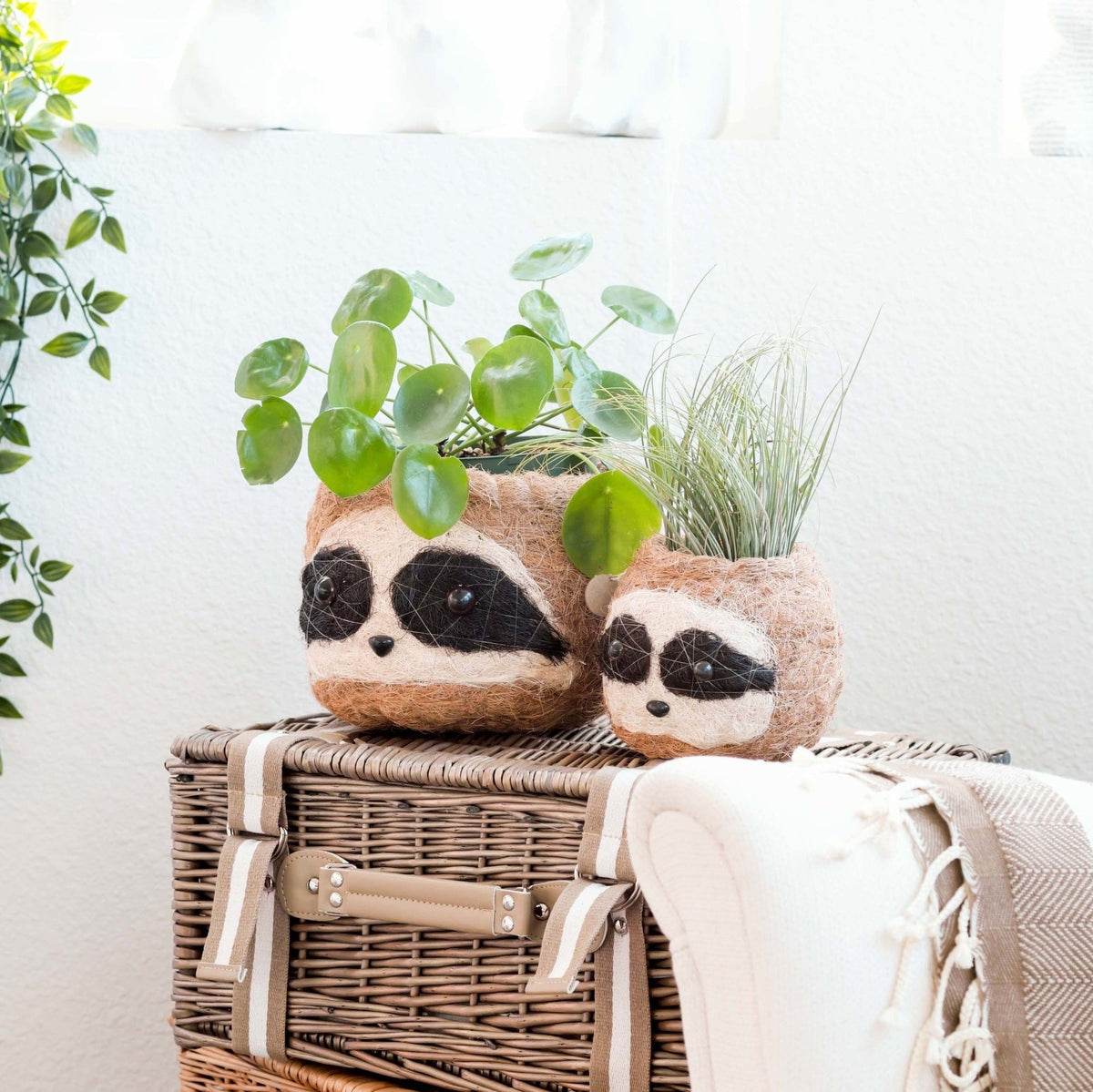 Kookoskuituinen eläinruukku | Kolmivärinen laiskiainen-LIKHÂ-RAUHA Crafts