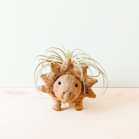 Kookoskuituinen eläinruukku | Triceratops-LIKHÂ-RAUHA Crafts