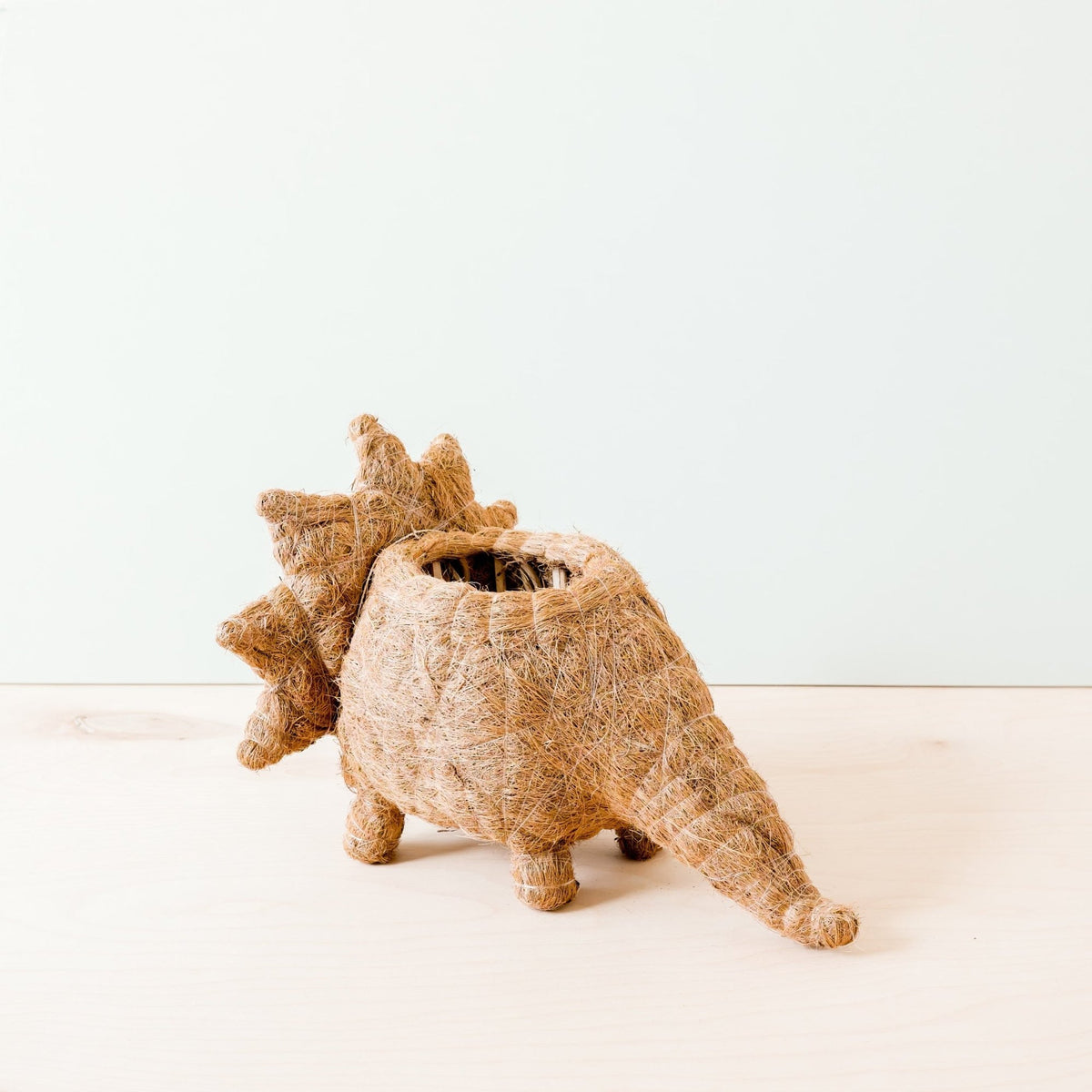 Triceratops-kruka i kokosfiber bakifrån