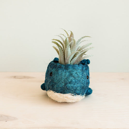 Kookoskuituinen eläinruukku | Whale-LIKHÂ-RAUHA Crafts