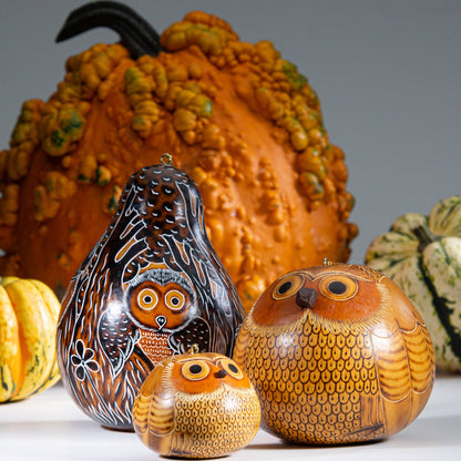 Kalebassikoriste | Blond Owl-Lucuma Designs-RAUHA Crafts