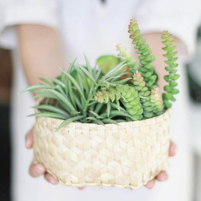 Kuusikulmainen palmulehtirasia | Dese-Du Anyam-RAUHA Crafts