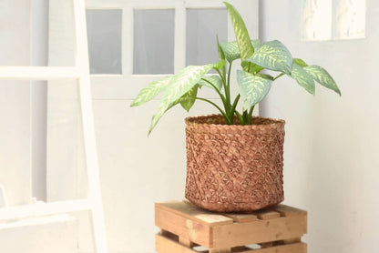 Säilytyskori palmunlehdestä | Sobe Teak-Du Anyam-RAUHA Crafts