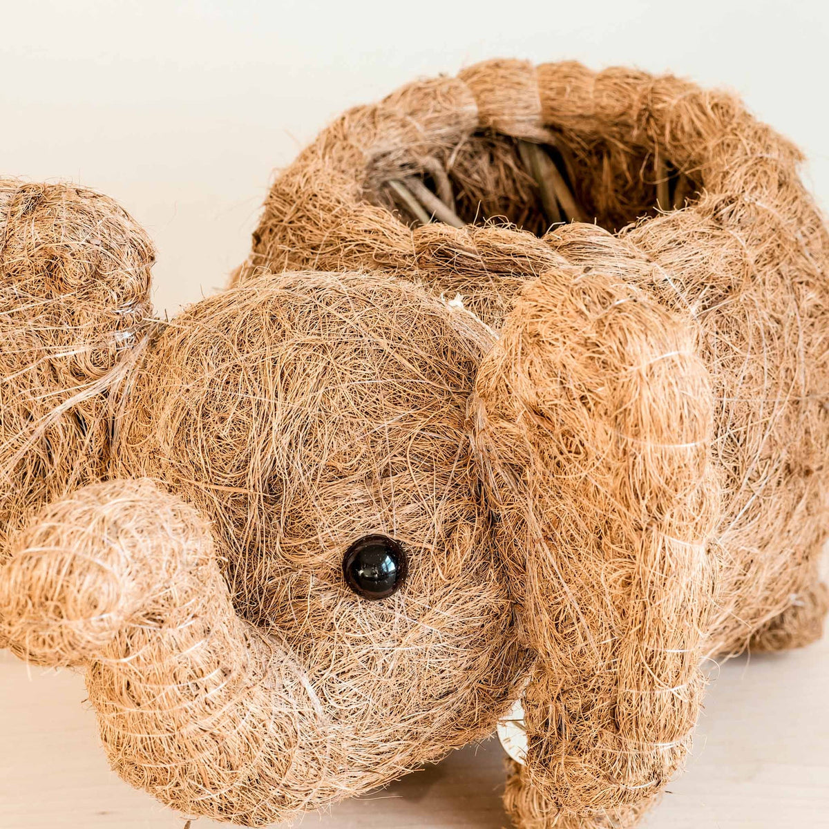Närbild av ansiktet på elefant-krukan i kokosfiber